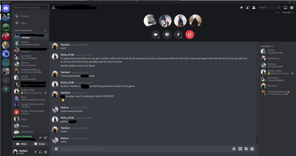 Figure 3. Image of a Discord group chat. The Discord group was formed with my closest friends in 2022.